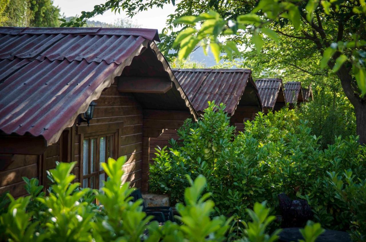 Fuente Del Lobo Glamping & Bungalows - Adults Only Pinos Genil Luaran gambar