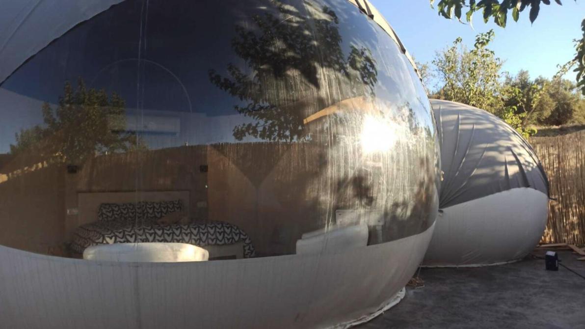 Fuente Del Lobo Glamping & Bungalows - Adults Only Pinos Genil Luaran gambar